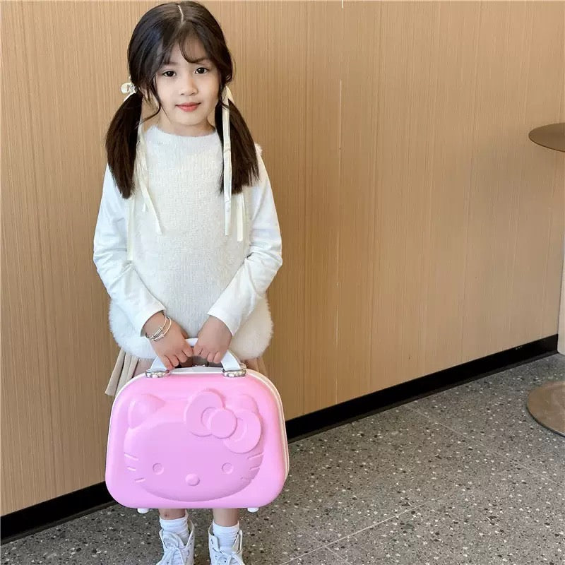 KT luggage